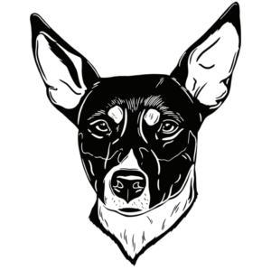 Decker Rat Terrier